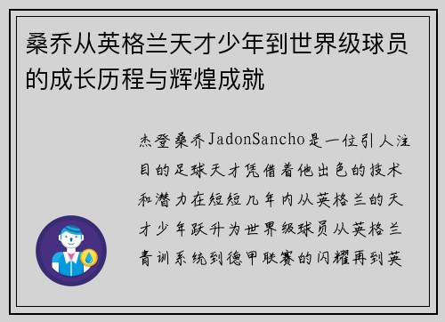 桑乔从英格兰天才少年到世界级球员的成长历程与辉煌成就